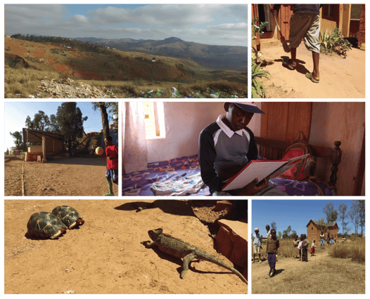 madagascar-pictures.png