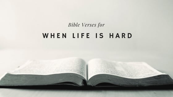 Bible Verses for When.jpg