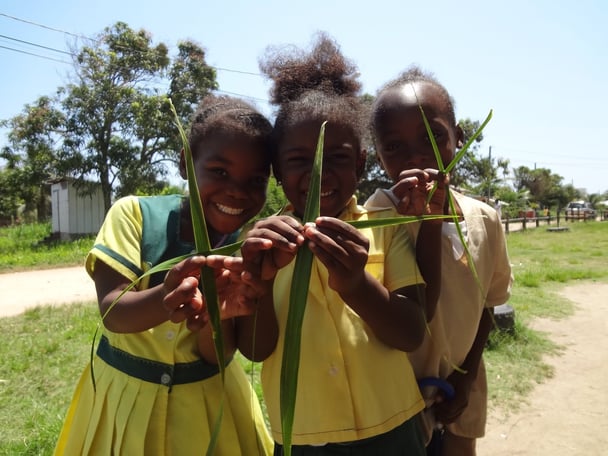 students_with_palm_crosses.jpg